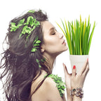 Ensemble de Stylos Herbe Vert et Jaune en Pot