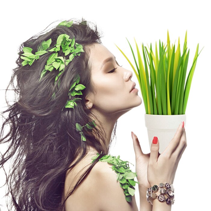 Ensemble de Stylos Herbe Vert et Jaune en Pot