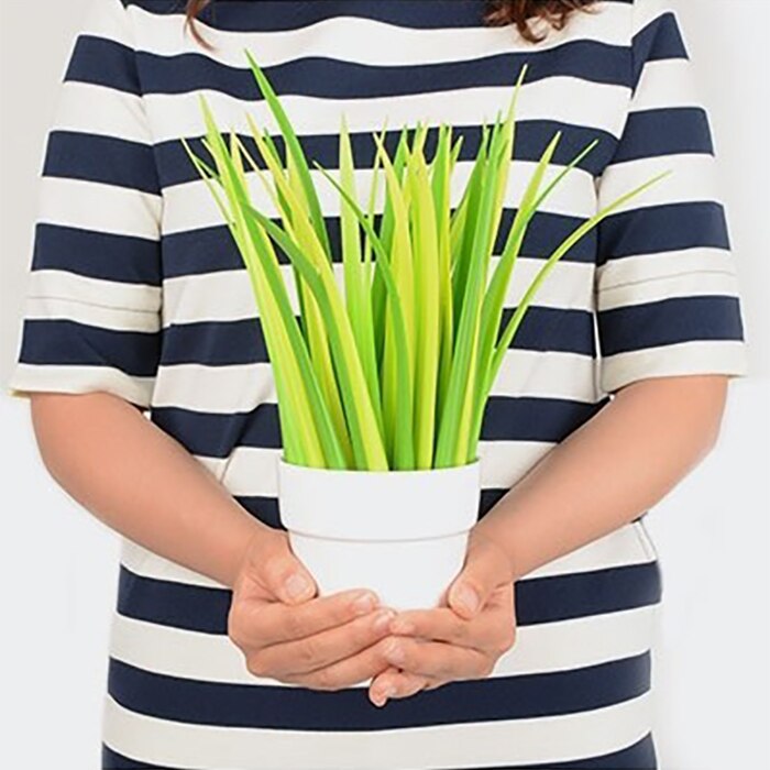 Ensemble de Stylos Herbe Vert et Jaune en Pot