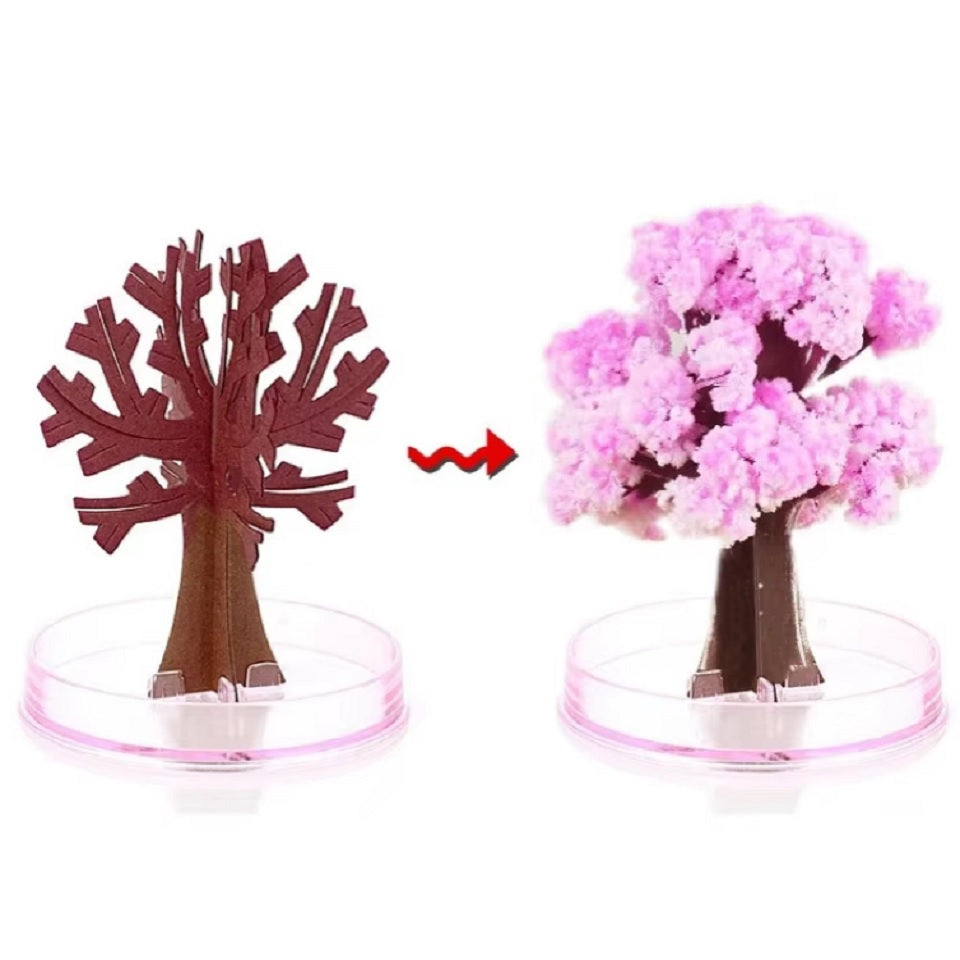Arbre Magique Sakura en Promo