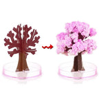 Arbre Magique Sakura en Promo
