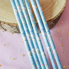 Crayon à Papier Cinnamoroll