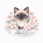 Sticker Prénom Personnalisé Chat et Fleurs