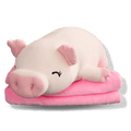 Peluche Oreiller Cochon heureux