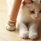 Protège-Pied de Chaise en Silicone Patte de Chat
