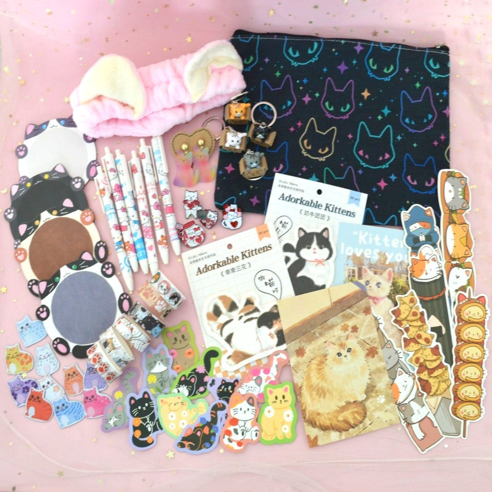 Boîte Kawaii à Thème Chat