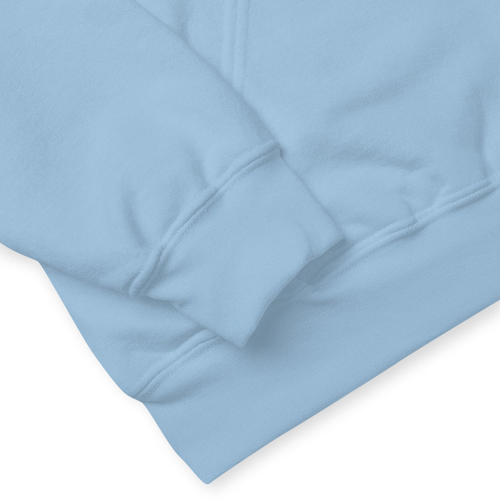 Sweatshirt à Capuche Bleu Ciel Motif Ours Lecteur