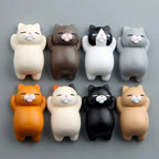 Lot de 3 Magnets Chats Dodus
