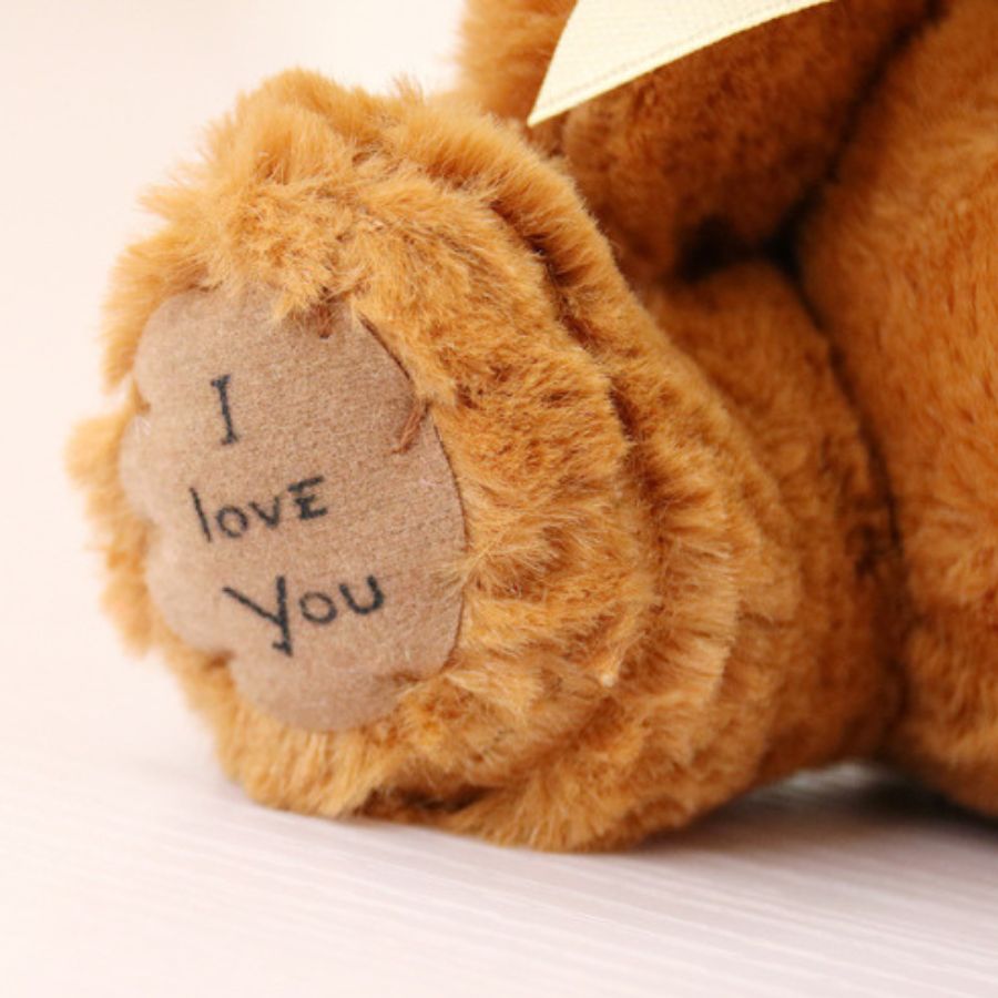 Ours en Peluche "I Love You" au Ruban Love