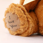 Ours en Peluche "I Love You" au Ruban Love