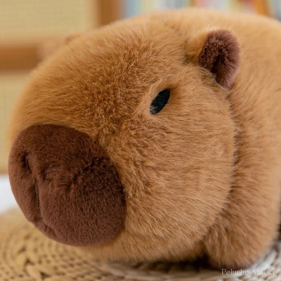 Peluche Avocat Vert et son Capybara Caché