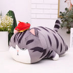 Coussin en Peluche Chat Boudeur à Chapeau et Couverture