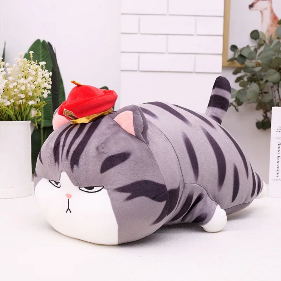 Coussin en Peluche Chat Boudeur à Chapeau et Couverture