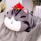 Coussin en Peluche Chat Boudeur à Chapeau et Couverture