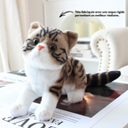 Peluche Chat Calico aux Grands Yeux