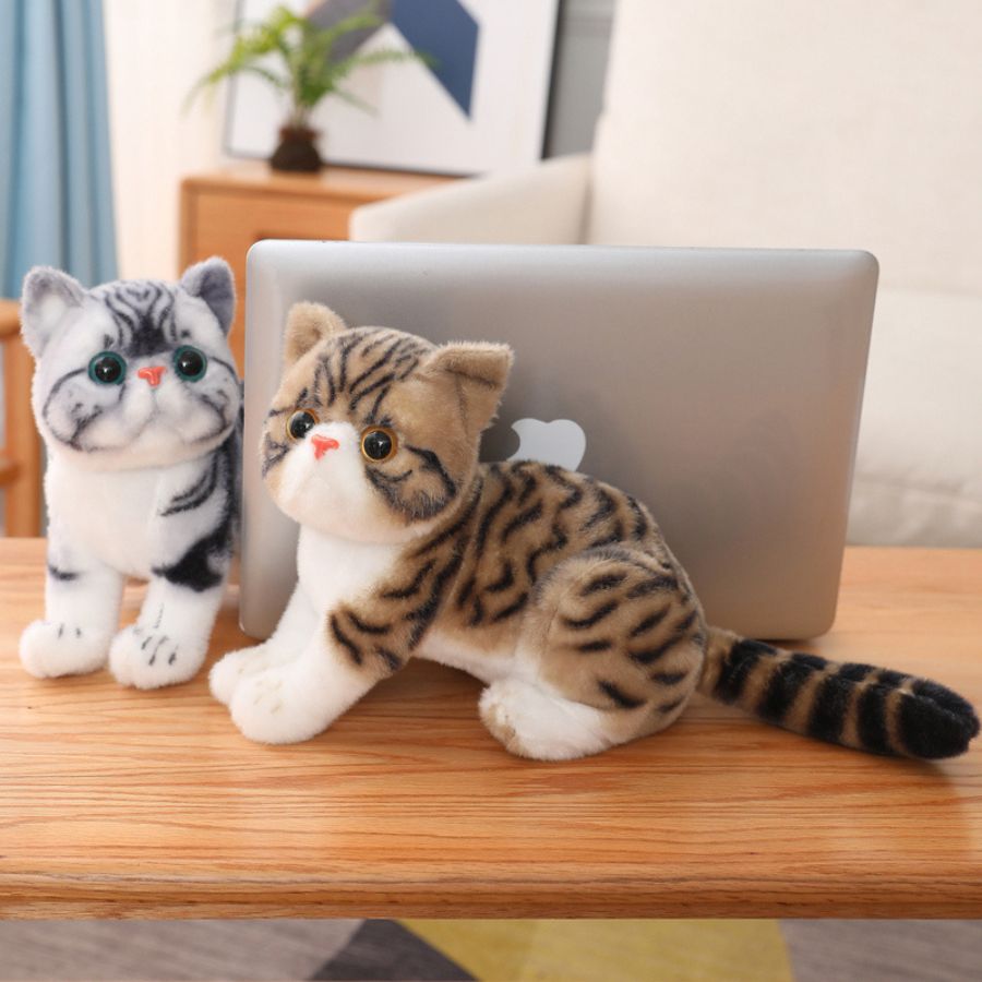 Peluche Chat Calico aux Grands Yeux