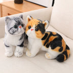 Peluche Chat Calico aux Grands Yeux