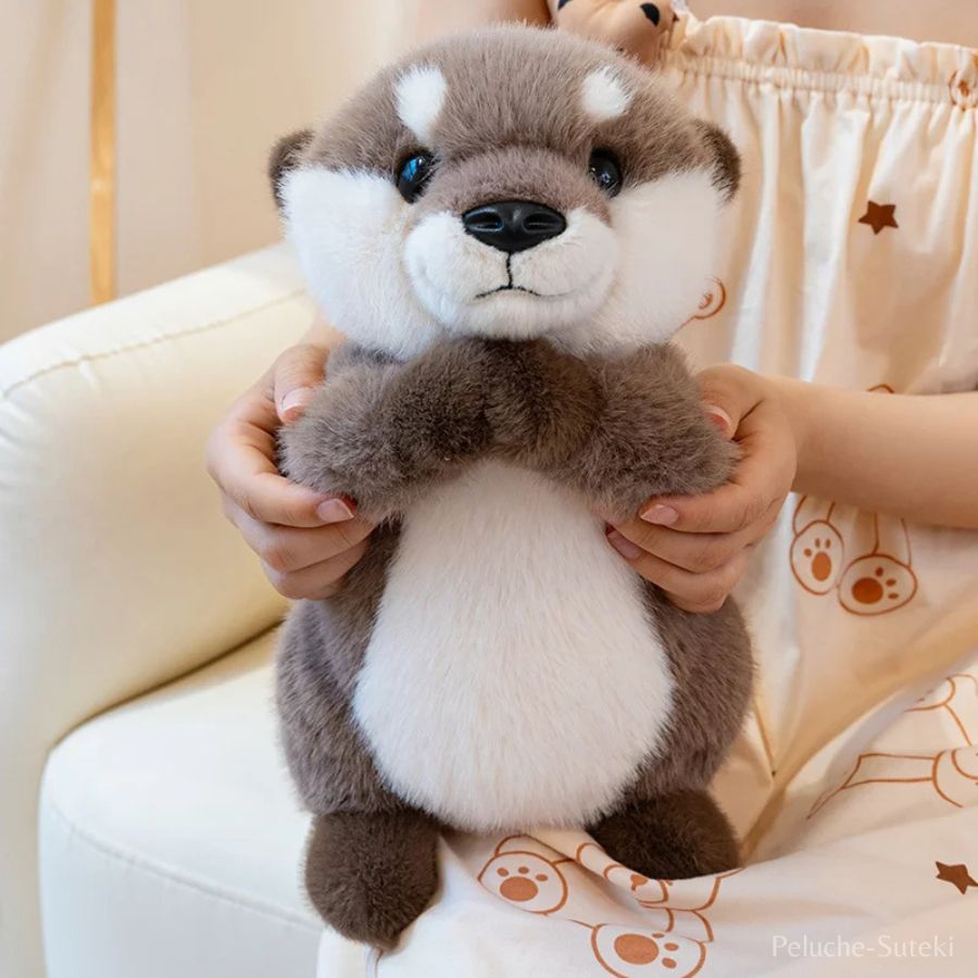 Peluche Loutre Grise et Blanche aux Bras Ouverts