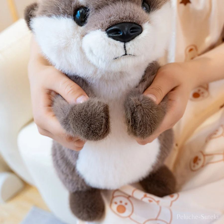 Peluche Loutre Grise et Blanche aux Bras Ouverts