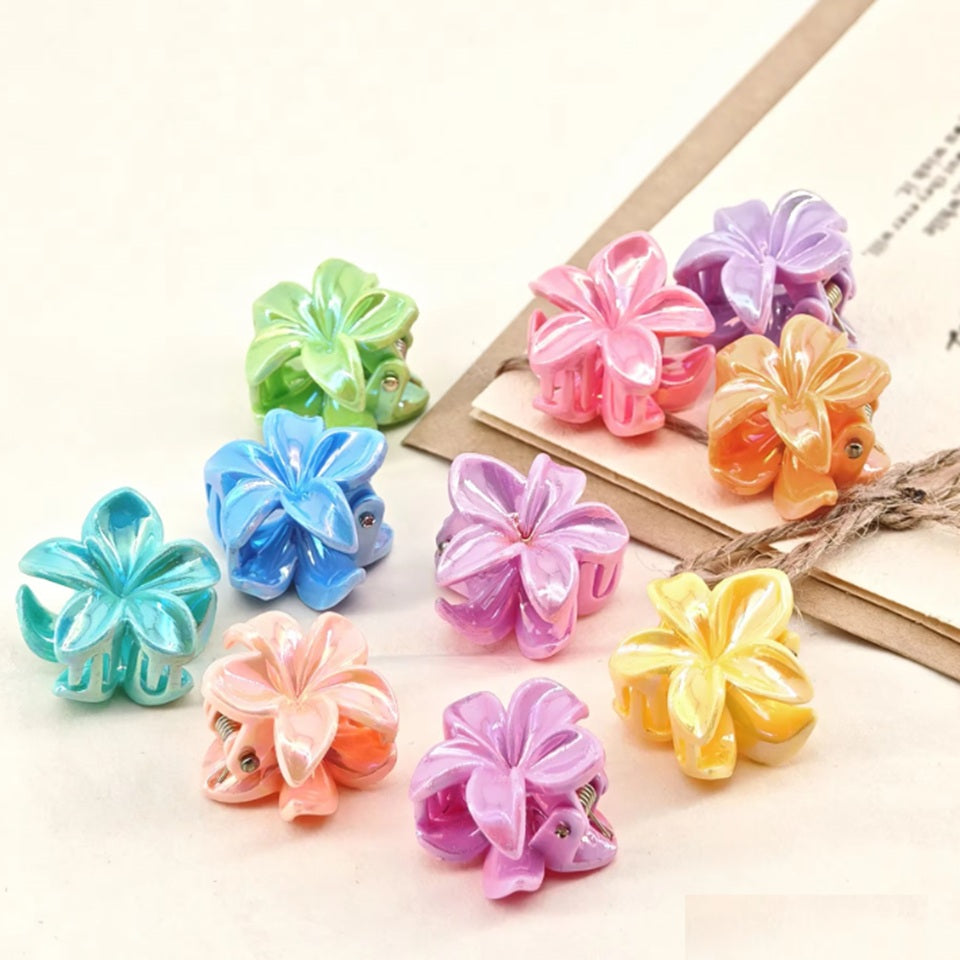 Pinces à Cheveux Fleurs Opaques par Paire