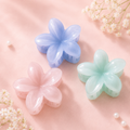 Pince à Cheveux Pastel Hana